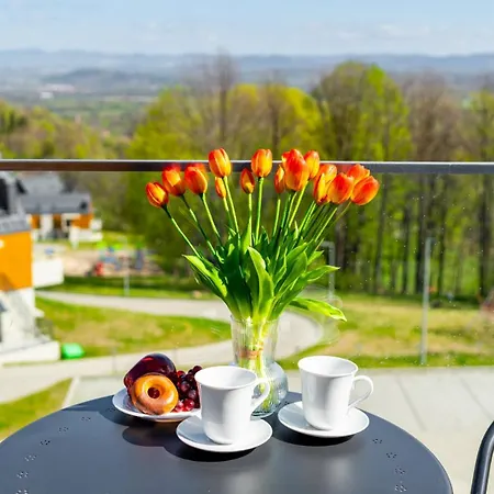Wonder Hillside: Ski-side With Playground And Outdoor Gym *