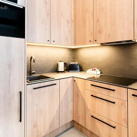Apartment Wonder Hillside: Ski-side With Playground And Outdoor Gym Karpacz